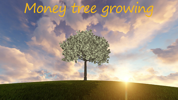 Growing Tree Animation