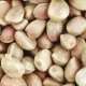 Pine Nuts in Bulks - VideoHive Item for Sale