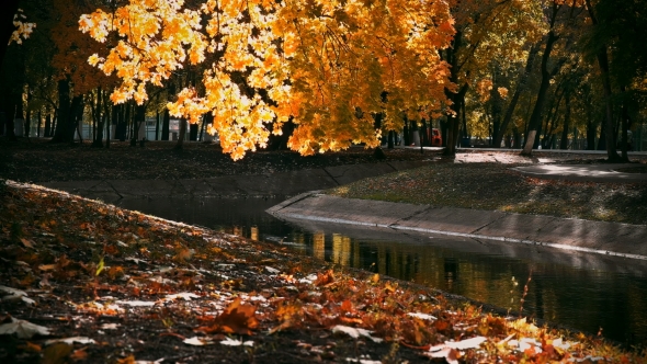 Beautiful View of the Pond in the Autumn Park