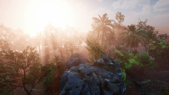 Sunset Beams Through Palm Trees alt