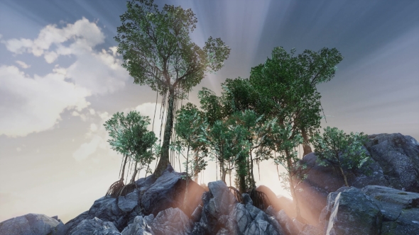 Sun Beams Through Trees alt