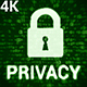 Privacy 4K (2 in 1) - VideoHive Item for Sale