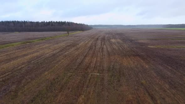 Top view over a field in late autumn