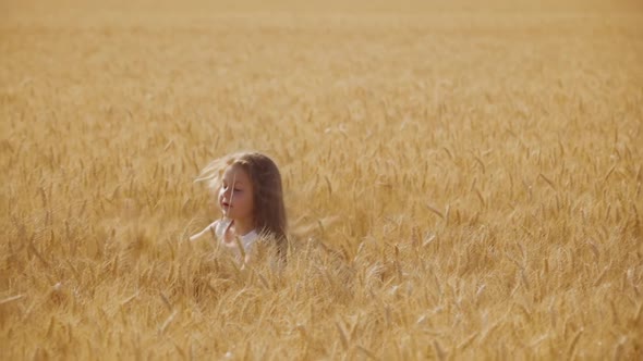 Little Girl Runs in Wheat Field with High Golden Spikelets
