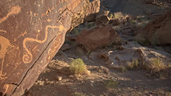 Wandering petroglyphs in Dray Wash in the Utah desert