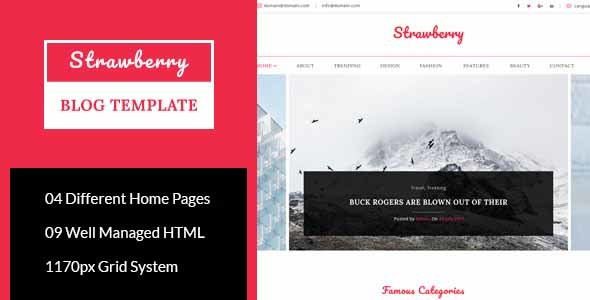 Strawberry - Minimal Blog HTML Template