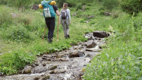 Two Young Man Hiking in Forest Mountains in Summertime