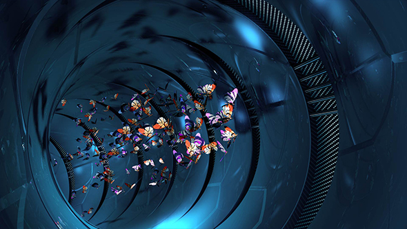 Flying Butterflies in Looping BG