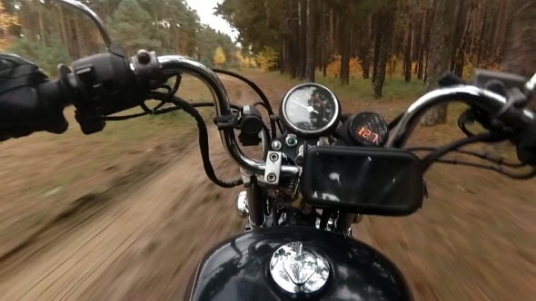 Motorcycle Chopper Puts on a Forest Road