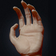 Sculpted Human Hand - 3DOcean Item for Sale