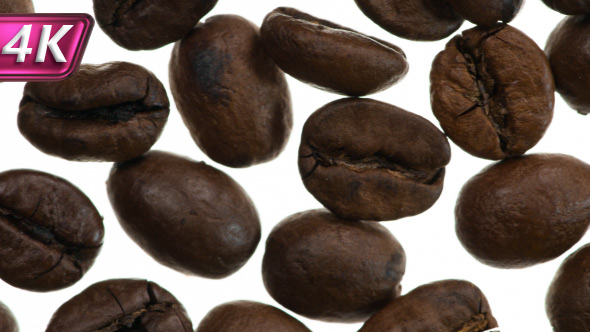 Roasted Coffee Grains