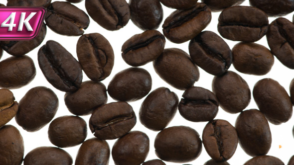 Freshly Roasted Coffee Grains
