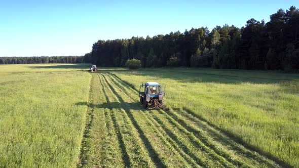 Tractor with Mower Cuts Off Green Hay Grass Making Rolls