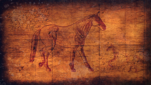 Horses Background