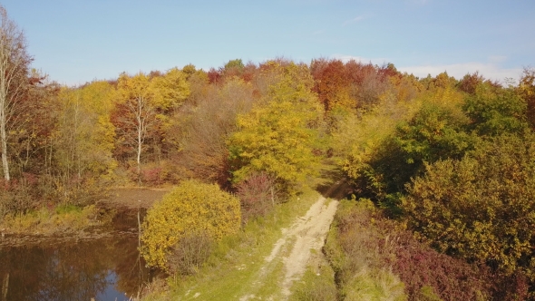 Pond in the Autumn Forest