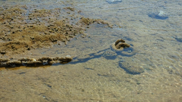 Metal Chain at the Seabed Under the Clear Water