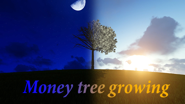 Money Tree Timelapse