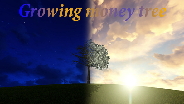 Money Tree Sunrise