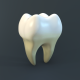 Human Tooth - 3DOcean Item for Sale