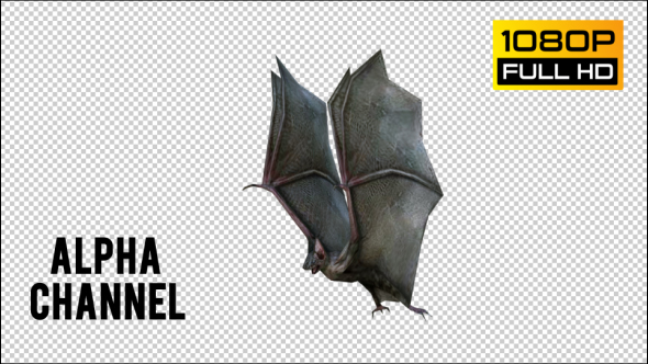 Bat 1 Realistic Pack 3