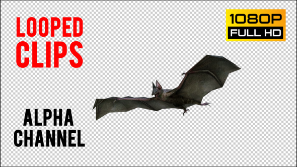 Bat 2 Realistic Pack 3 alt