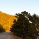 Scenery of Lake Baikal Shore. Сountry Road, Trees, Mountain, Sunset. - VideoHive Item for Sale
