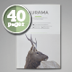 Indesign Magazine Template - GraphicRiver Item for Sale