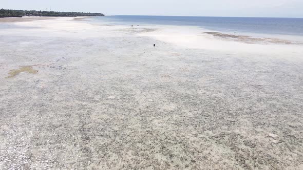 Ocean Low Tide Near the Coast of Zanzibar Island Tanzania