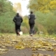 People Run in Autumn Park Forest - VideoHive Item for Sale