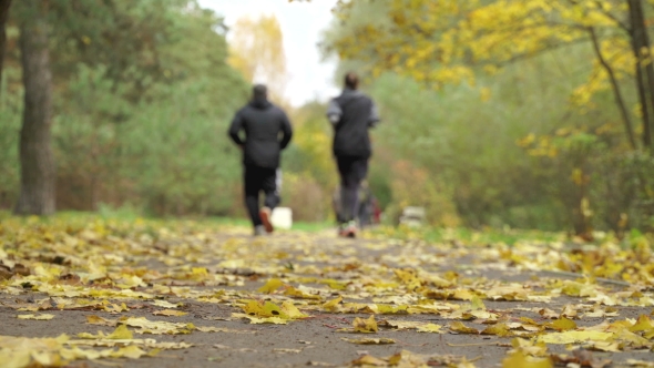 People Run in Autumn Park Forest