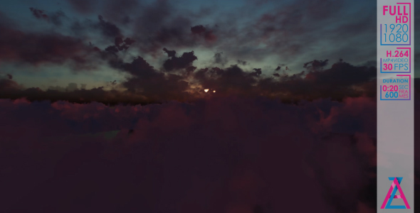 Flying Through a Diverse Sky