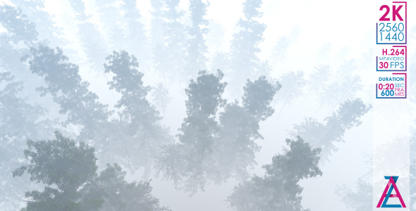 Take Off Over The Forest alt