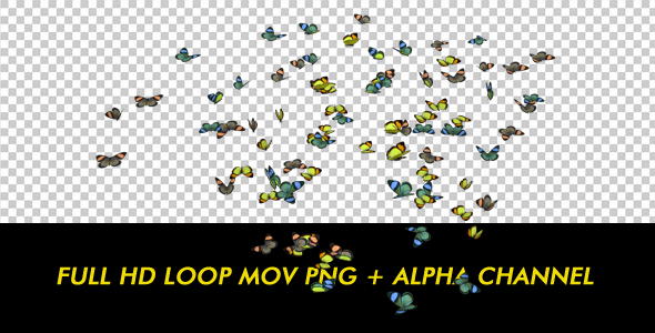 Butterflies - Colorful Swarm - Resizable Loop alt