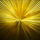 Golden Lines - VideoHive Item for Sale