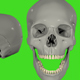 Skull - VideoHive Item for Sale