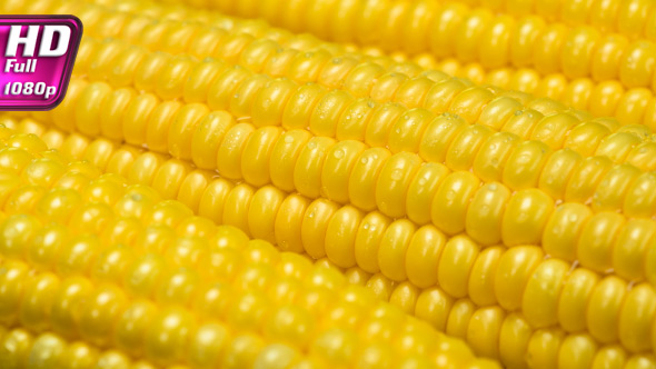 Young Corn with Water Drops