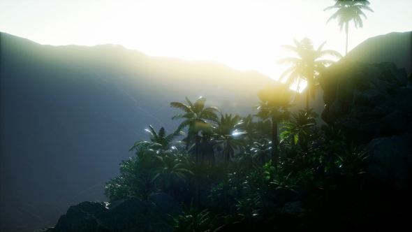 Mountain and Field Landscape with Palms alt