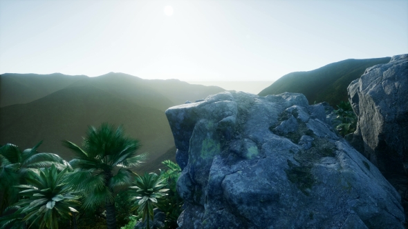 Mountain and Field Landscape with Palms alt