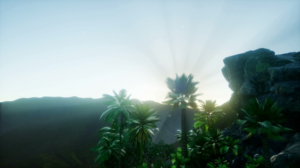 Mountain and Field Landscape with Palms alt