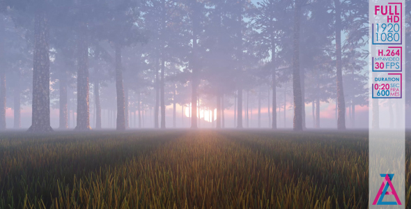 Foggy Forest alt