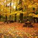 Falling Autumn Leaves Pack - VideoHive Item for Sale