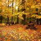 Falling Autumn Leaves Pack - VideoHive Item for Sale