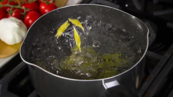 Pasta Falling Into Pot Slow Motion