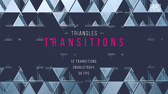 Triangles Corporate Transitions alt
