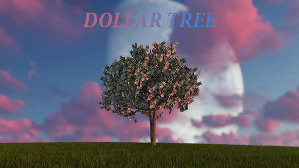 Dollar Money Tree