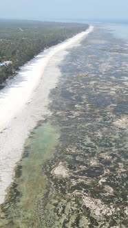 Vertical Video of Low Tide in the Ocean Near the Coast of Zanzibar Tanzania