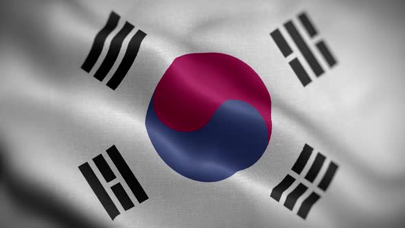 Korea South Flag Textured Waving Front Background HD