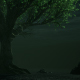 Fantasy Tree Underwater - VideoHive Item for Sale