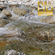Mountain River - VideoHive Item for Sale