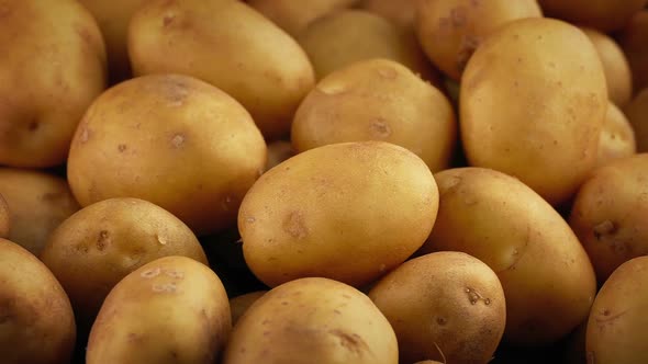 Golden Potatoes Pile Rotating